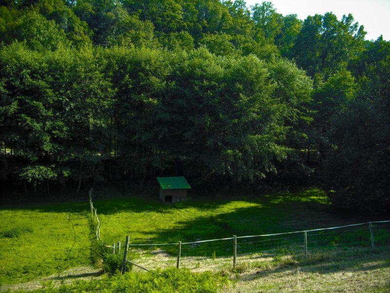 Parc de l'Aurence 1