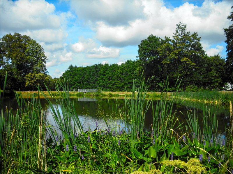 Etang 2
