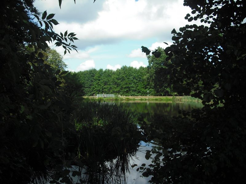 Etang 3