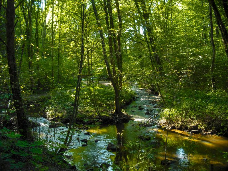 Parc de l'Aurence 2