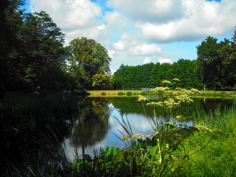 Etang 1