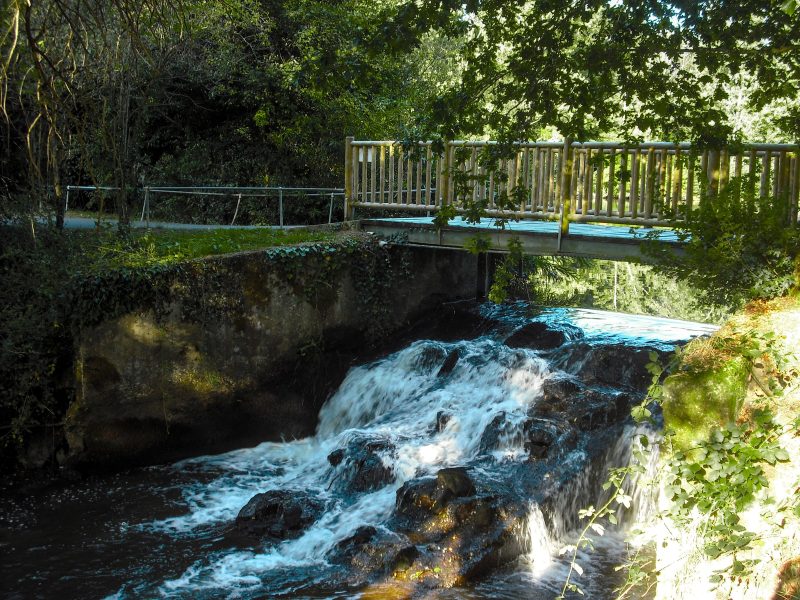 Cascade