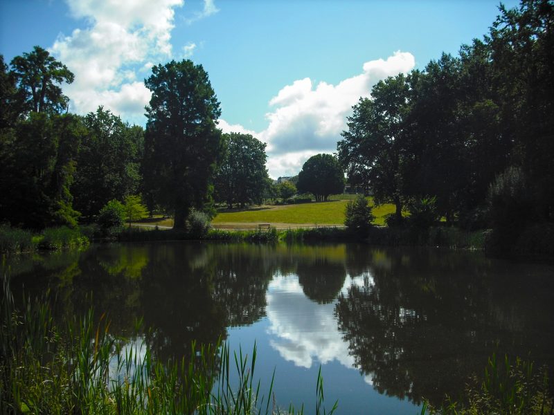 Etang 4